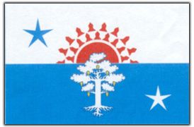 флаг города Серова